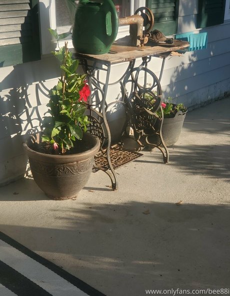 ビデオ通話 オンリーファンズ 美しい裸 写真