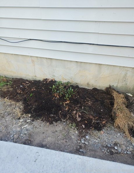 肉厚マンコオンリーファンズ 無料セックス 写真