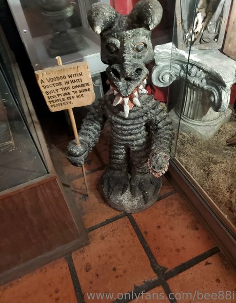 赤毛のソロOnlyFans トップ 写真