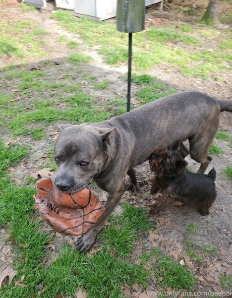 かわいいシーメールオンリーファンズ ホットxxx 写真