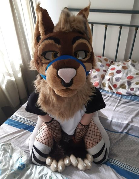 neflynxad ポルノスター ヌード 写真