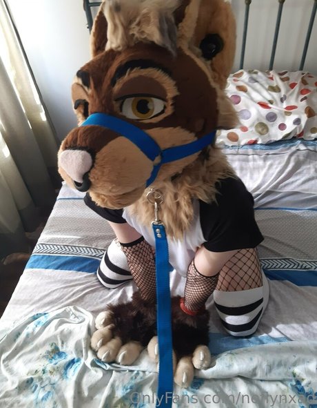 neflynxad 無料モデル 画像