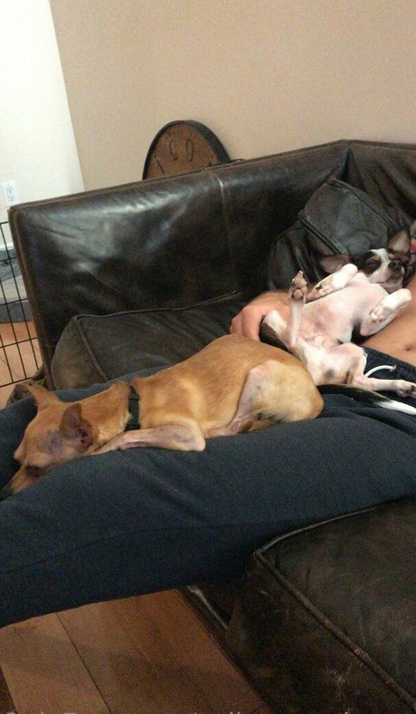 女性フィットネス オンリーファンズ トップ 写真