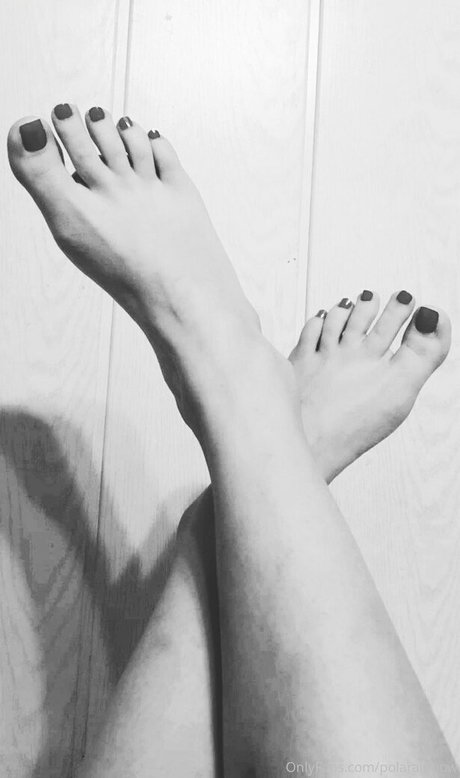 polarainbow 高品質モデル 写真