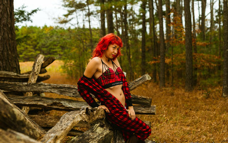 家族限定ファン xxx 画像