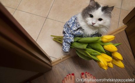 freekatycupcake ヌードスター アーカイブ