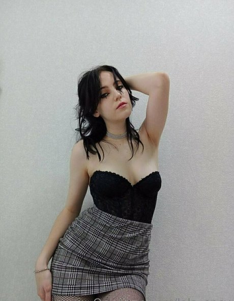 ブッシュ・オンリーファンズ パーフェクト 画像