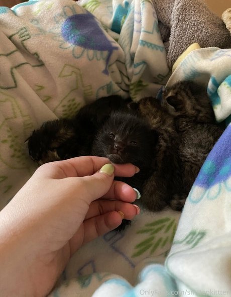 バブルバットオンリーファン ホットポルノ 画像