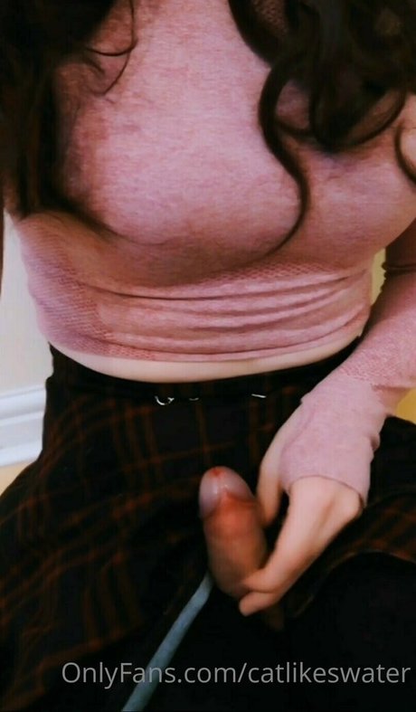 Cat Likes Water 素敵なスター 写真