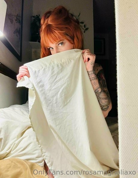 rosamagnoliaxo 素敵なスター 写真