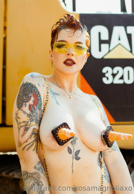 rosamagnoliaxo アートスター アーカイブ