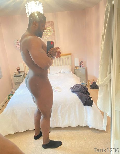 pleasure12368 HDモデル ギャラリー