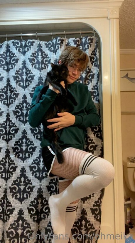 ohmeika HDモデル 画像