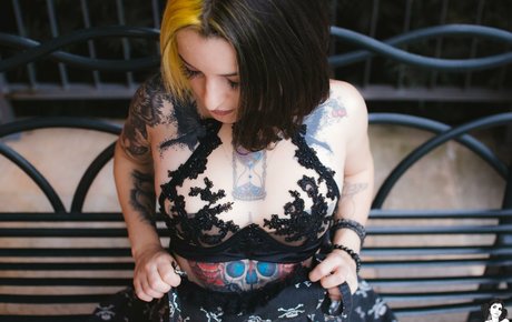 khachery トップスター ギャラリー