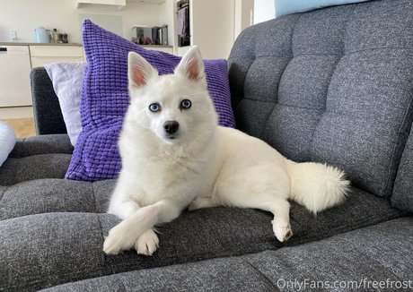 セクシーなブルネットのオンリーファンズ トップ 画像