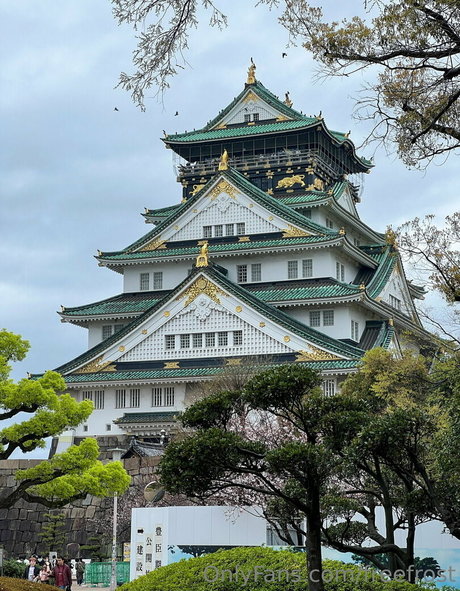 パフィーオンリーファンズ 美しいポルノ アーカイブ