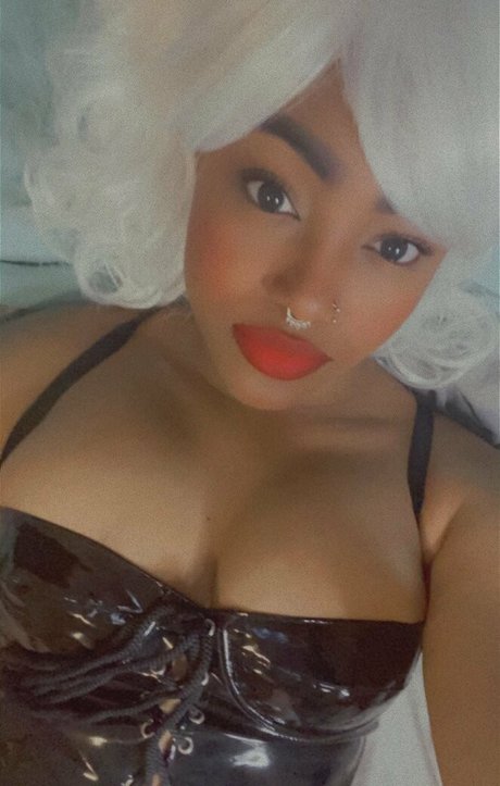 itsterrbear 美しいスター 写真