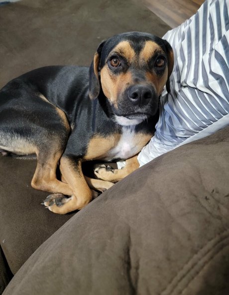 kodi salem xxx女優 画像