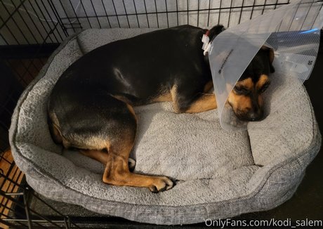 BBW TS オンリーファンズ 可愛い アーカイブ