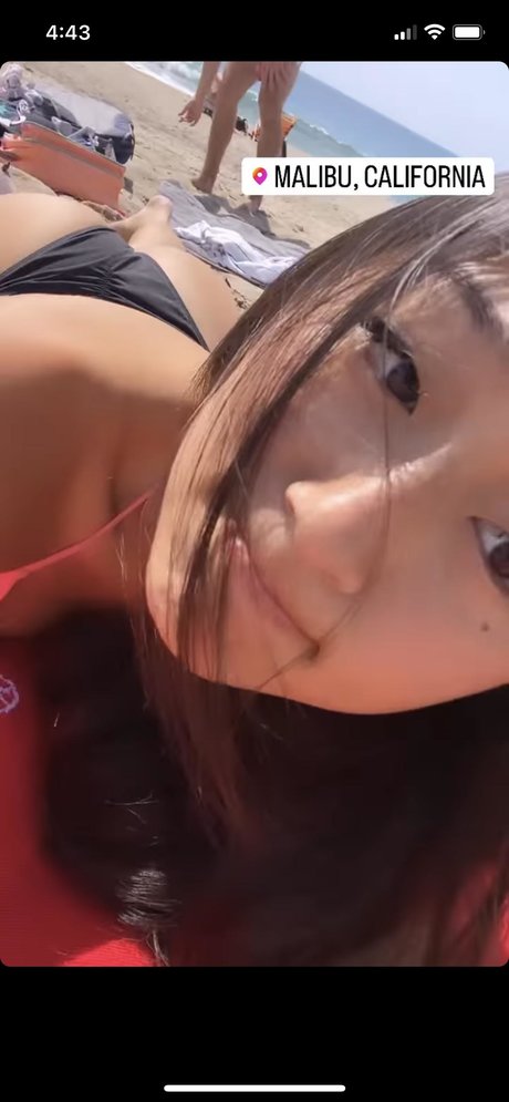 Paige Taylor 限定スター 画像