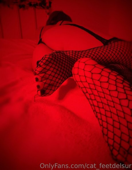 cat feetdelsur ポルノスター ベスト 写真