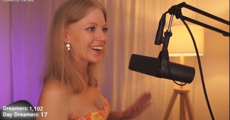 Copykat_ アートスター ギャラリー