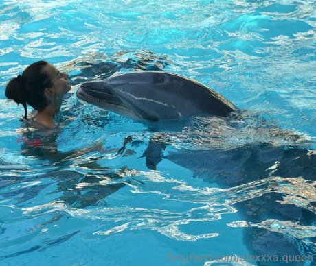 ソロオンリーファンズ 美しいヌード 画像