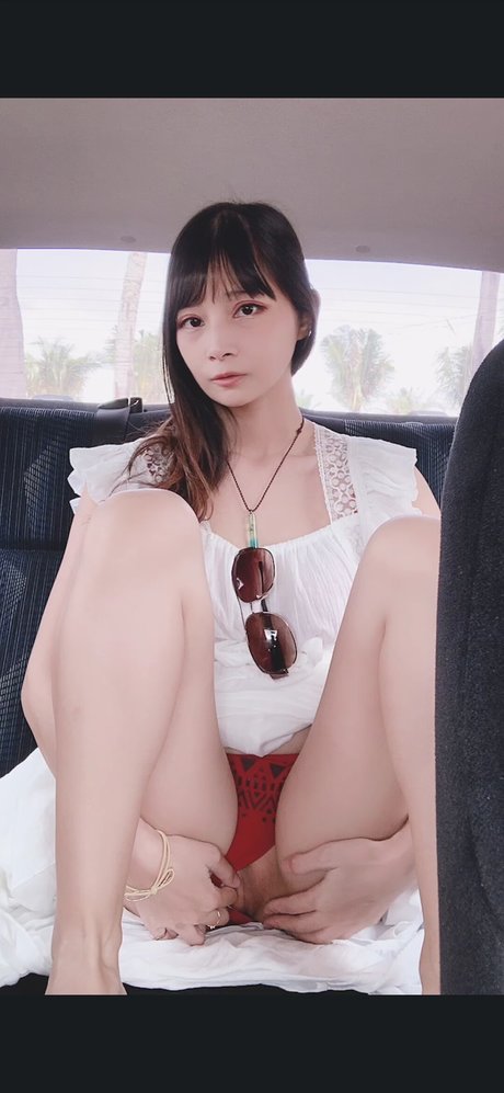 NASI かわいいスター 写真