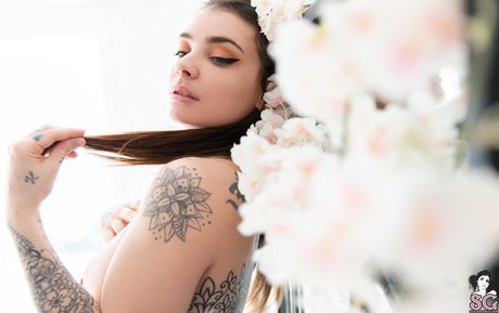 Pia Lora 美しいポルノスター 画像