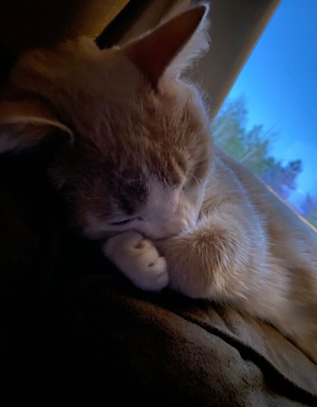 垂れ下がった熟女OnlyFans 無料裸 写真