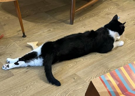 ゴス3P OnlyFans 美しいxxx 画像