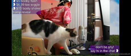 escobutt スターセックス 写真