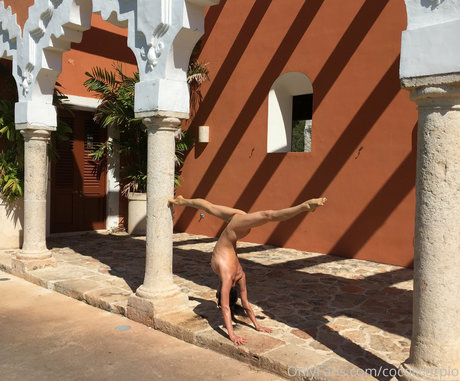 Cocoscorpio HDスター 写真