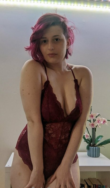 baeged HDモデル 画像