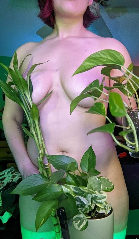 baeged 最高のポルノスター 写真