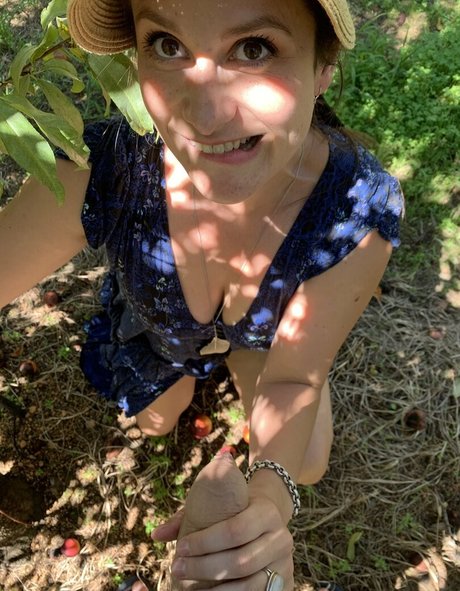 シックオンリーファン トップ 写真