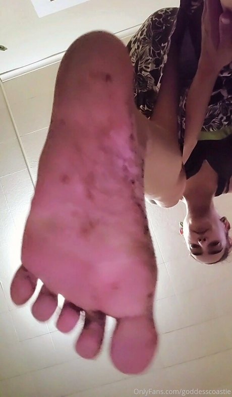 goddesscoastie ポルノスター アダルト アーカイブ