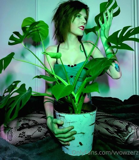 vvowzerz 無料のスター アーカイブ