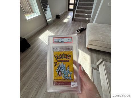 zipos トップスター ギャラリー