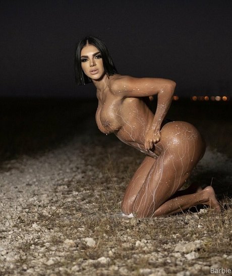 Aleira Avendano セクシー女優 写真