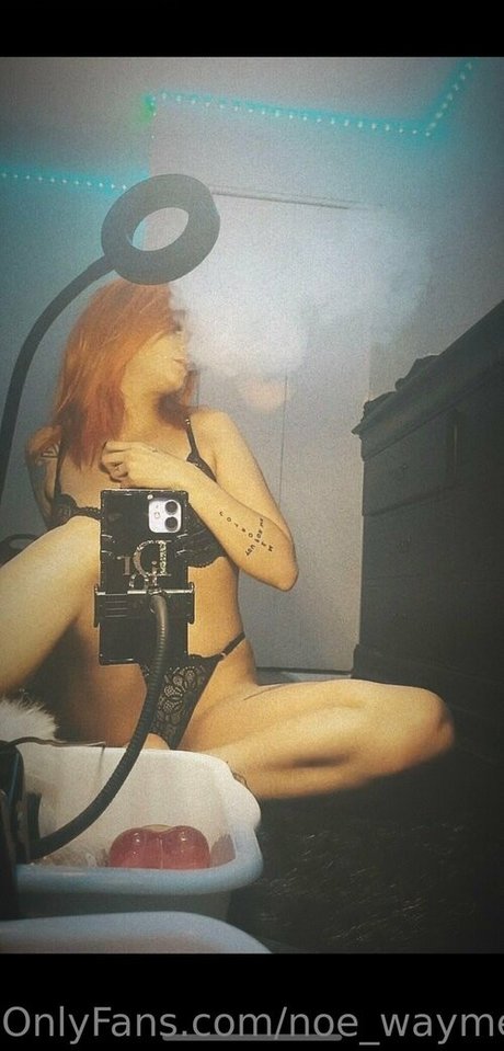 noe waymefree240399 限定スター ギャラリー