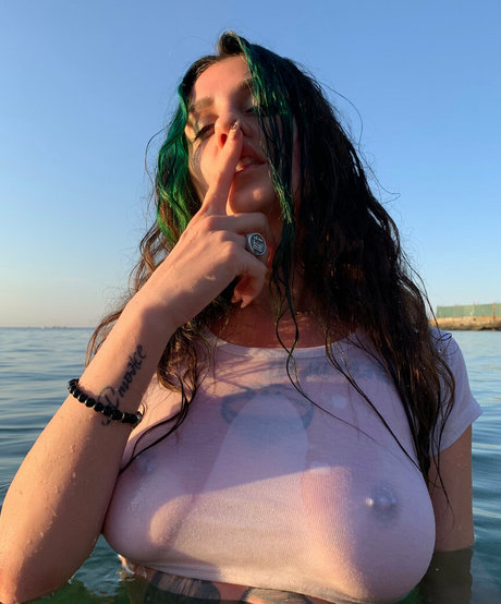 tashablunt HDモデル 写真