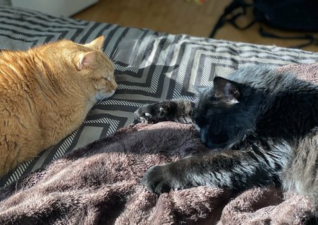 somelittlecrumbs 完璧な女優 画像