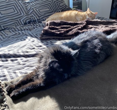 ブラックマジックオンリーファンズ 美しい 写真