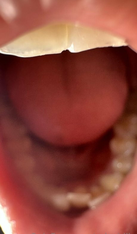 縛られたOnlyFans エロチック ギャラリー