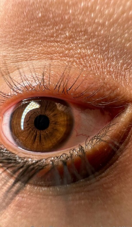 リンクツリー オンリーファンズ パーフェクト 写真