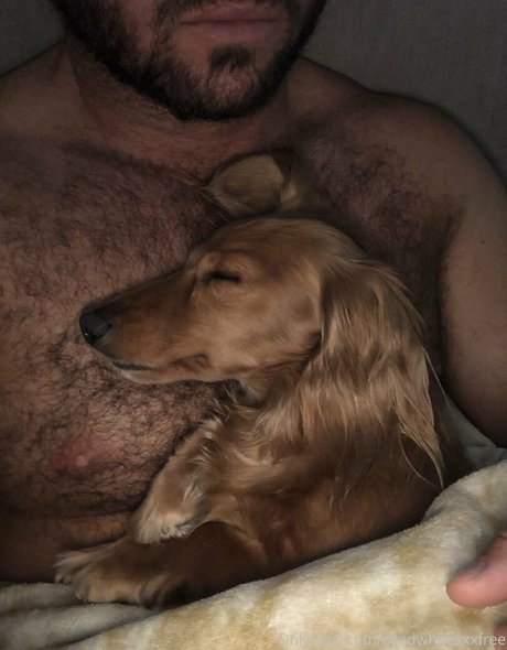 chadwhitexxxfree 女優 画像