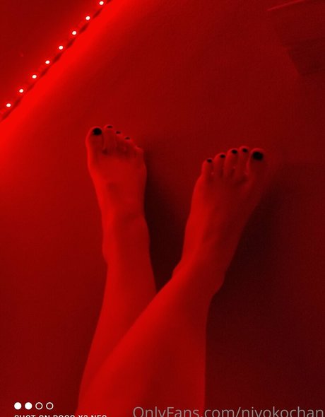 niyokochan 独占モデル 写真