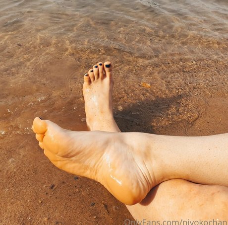 niyokochan ポルノモデル 写真