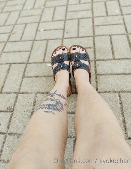 niyokochan トップスター 写真